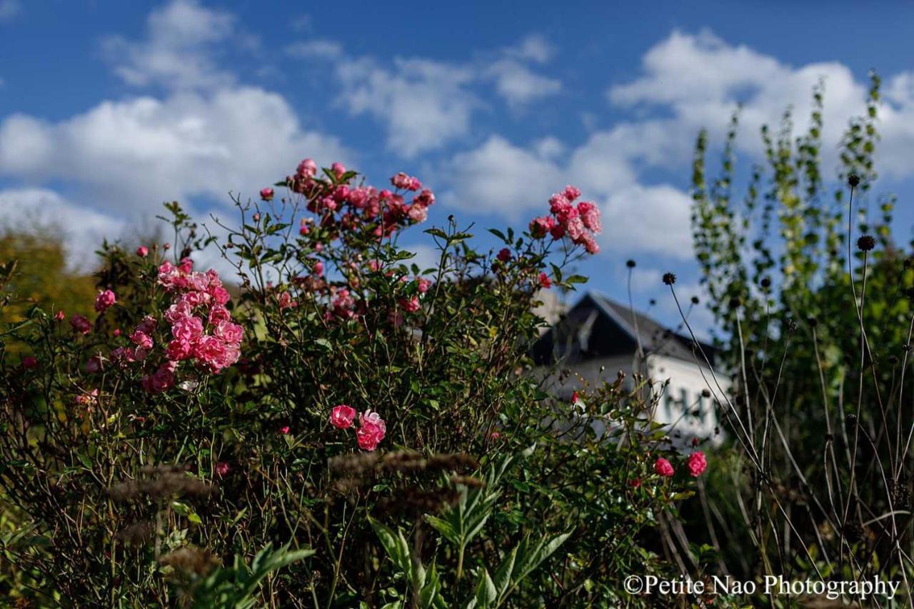 Au Jardin Des Deux Ponts Bed & Breakfast Abbeville Exterior foto