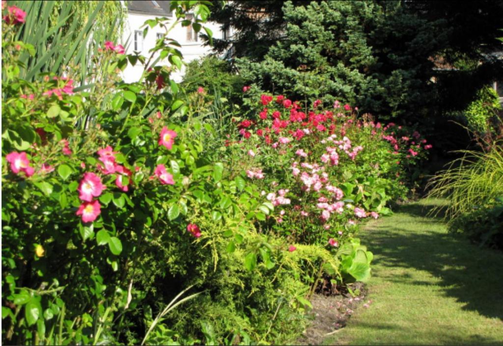 Au Jardin Des Deux Ponts Bed & Breakfast Abbeville Exterior foto